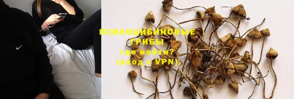 прущие крисы Медногорск