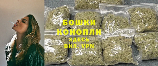прущие крисы Магадан