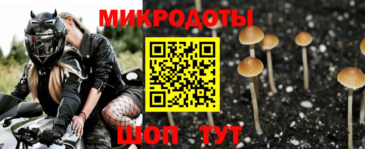 купить   Галлюциногенные грибы Psilocybe  Волжский  Псилоцибиновые грибы GOLDEN TEACHER 